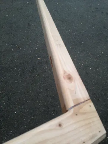 14 ft Rapid Robert: The Fun Begins