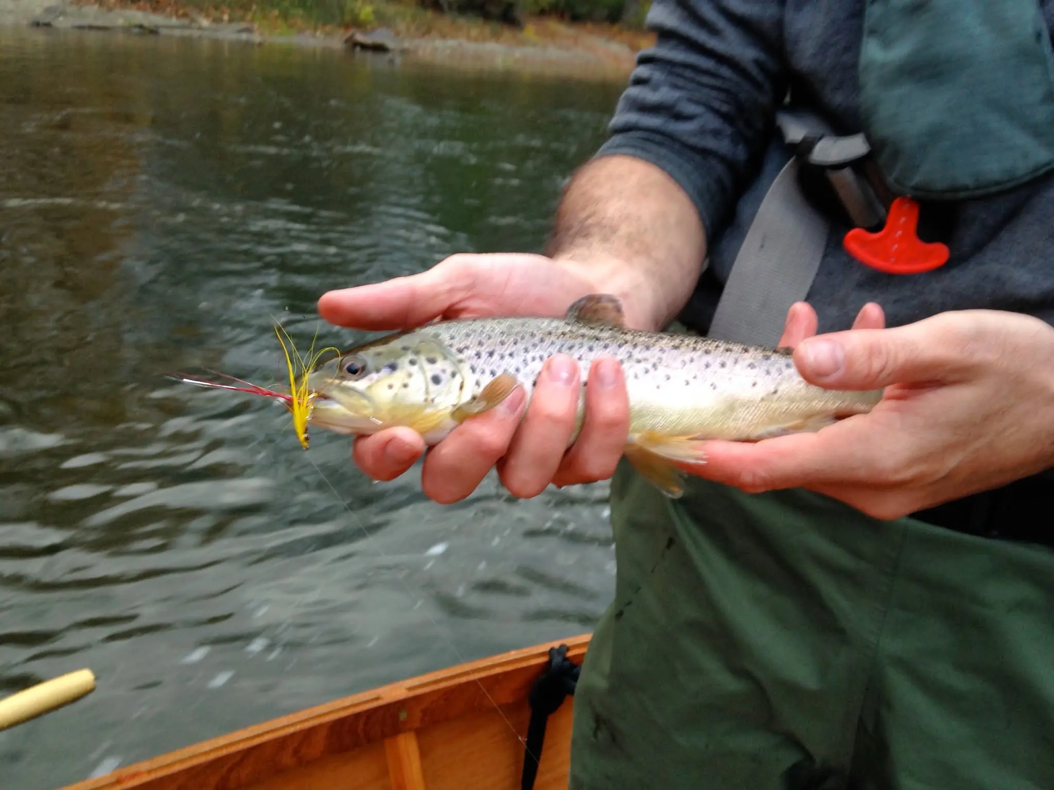 14 ft Rapid Robert: First River Run - Housatonic 11-2-13