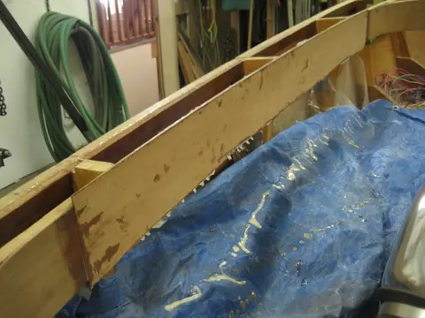 Hot Rod: Carlings and trim: First lamination at Port gunwale clamped