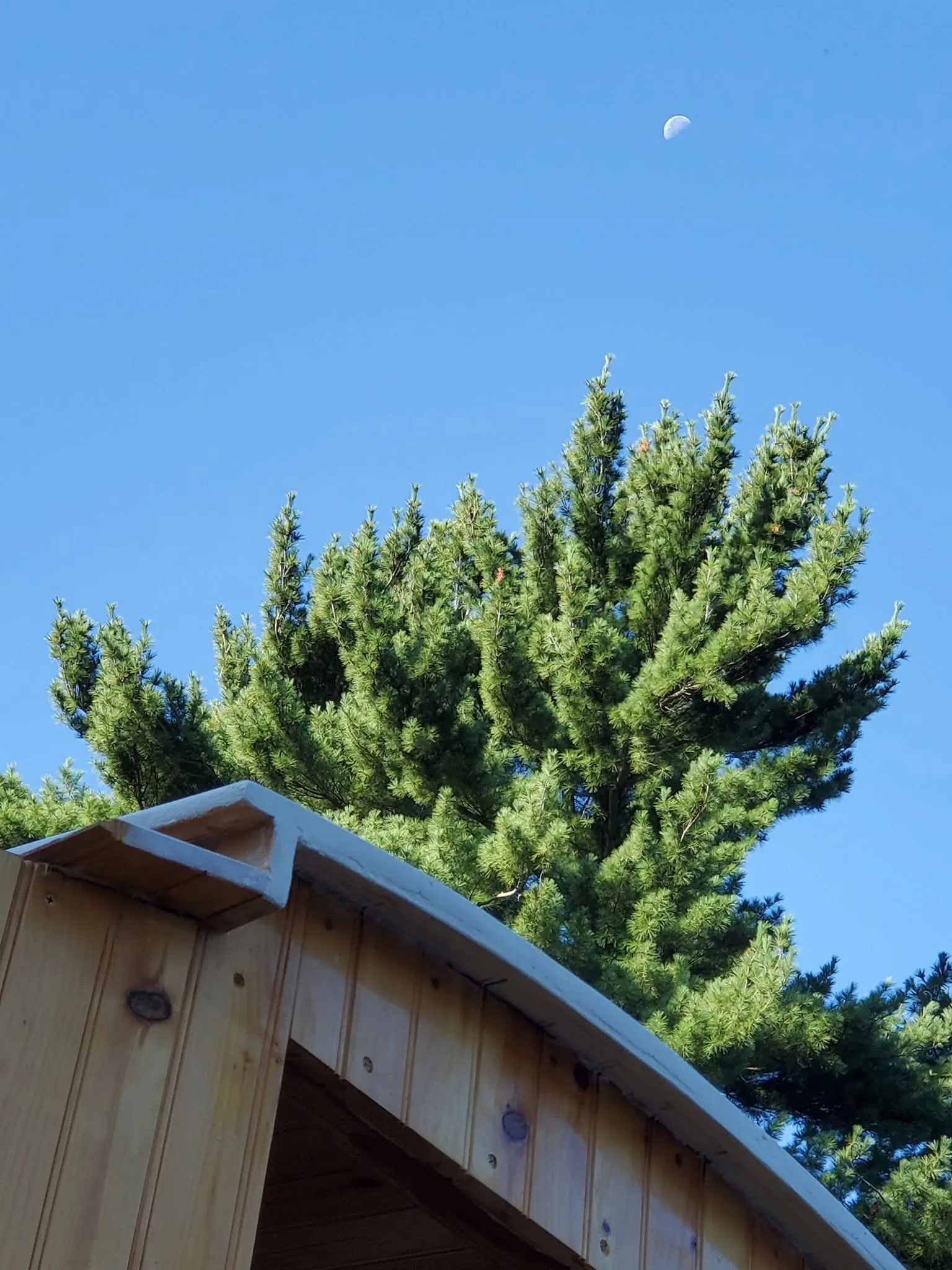 Jersey Girl: I'm about to get back to work on Jersey Girl for the day under a cloudless blue sky,...