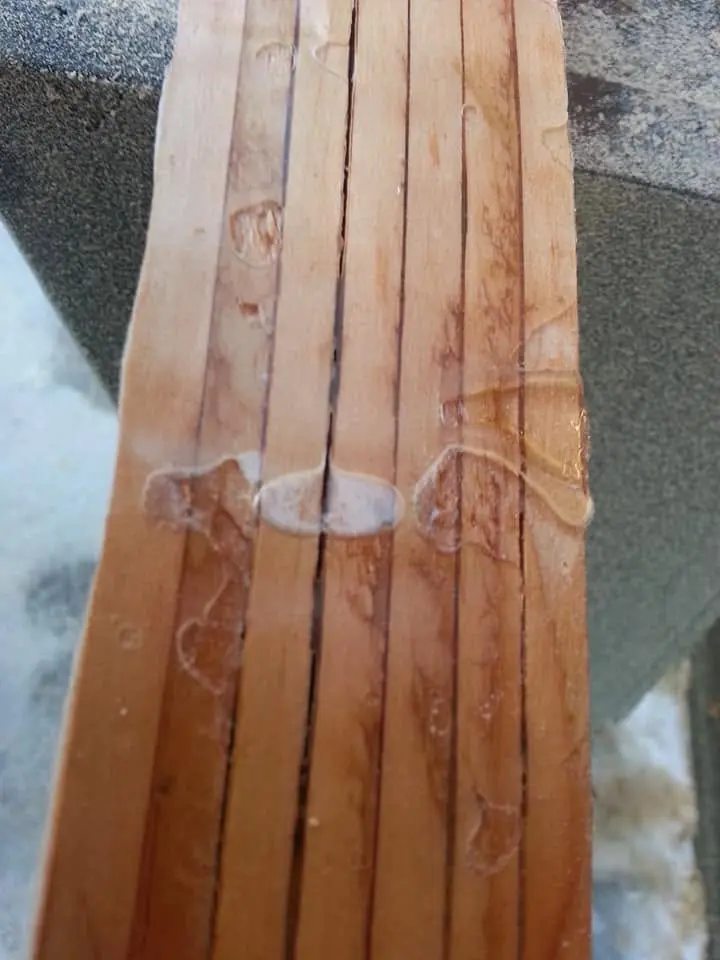 Jersey Girl: With the temperature in the 50s and the snow and ice melting, I had a chance to do a...